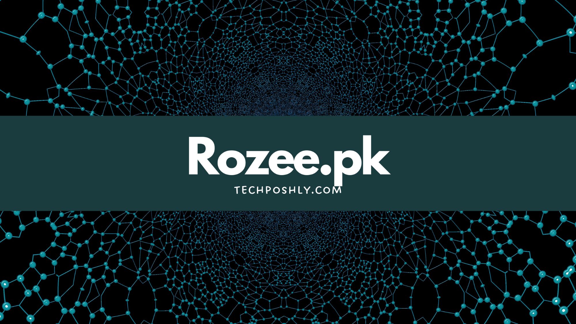 Rozee.pk Rozee.pk Best Freelancing Platform