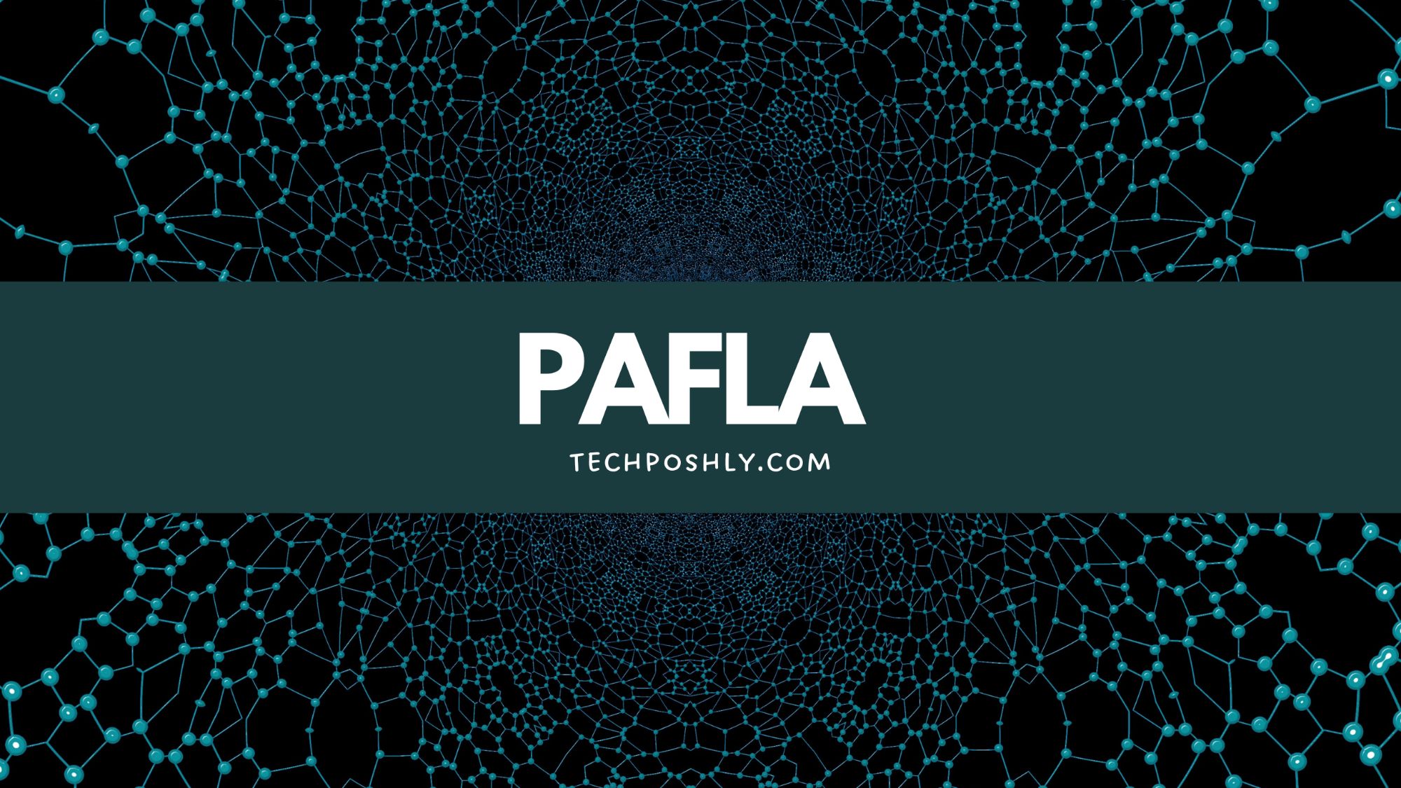 PAFLA Pakistani Freelancing Platform