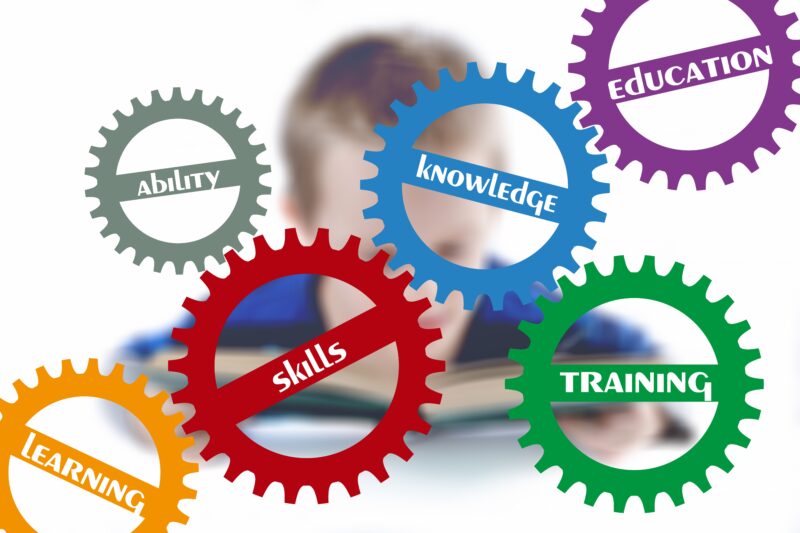 10 Skills that Pakistani Students Learn in 2025 Summer Vacation